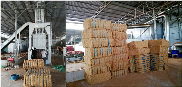 Coconut Fiber Production Line