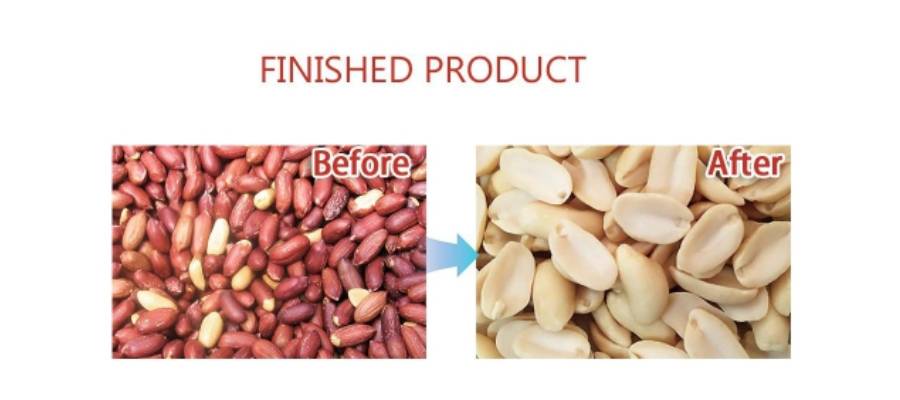 Split Peanut Blanching Machine