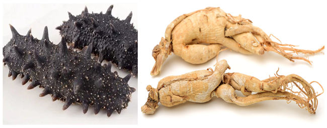 vacuum microwave dryer