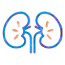 Urology