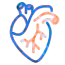 Cardiology