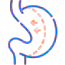 Bariatric And Metabolic