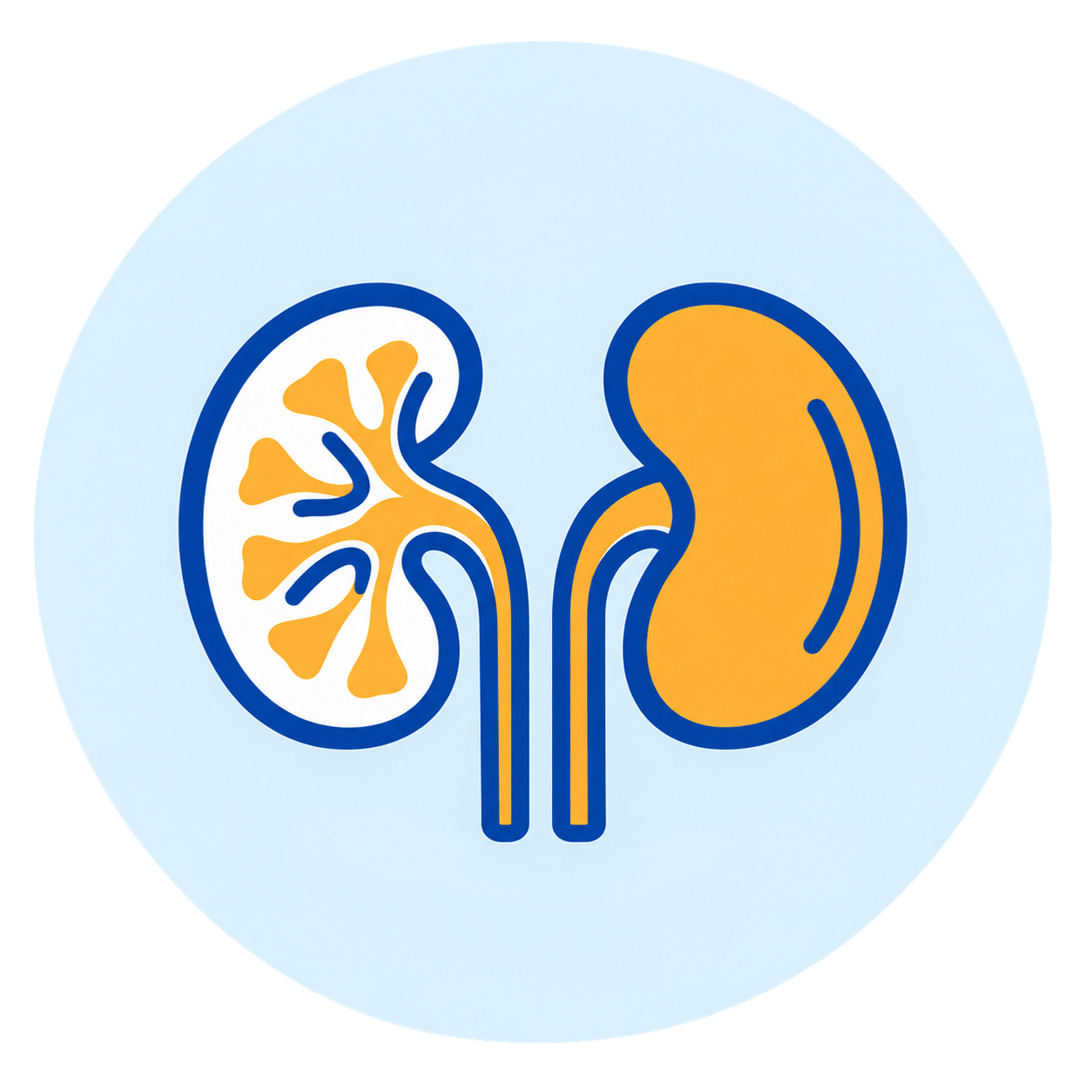 Renal Sciences