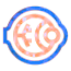 Ophthalmology
