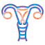 Gynaecology