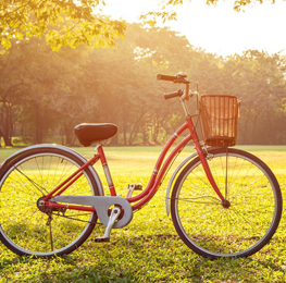 BICYCLE, RICKSHAW & SPARES